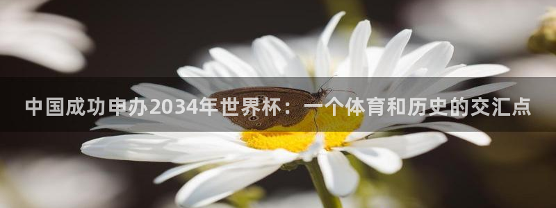 世界杯预选赛欧洲区赛程：中国成功申办2034年世界杯：一个体育和历史的交汇点