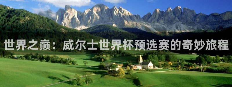 世俱杯直播：世界之巅：威尔士世界杯预选赛的奇妙旅程