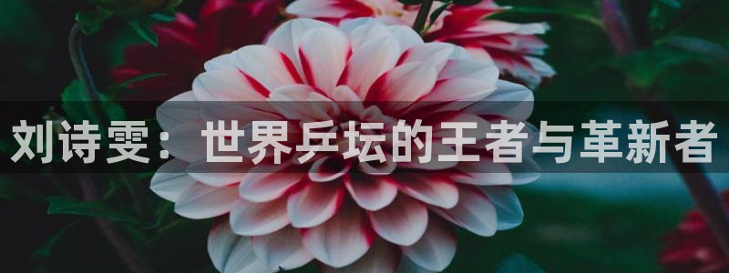 世界杯预选赛亚洲区积分榜：刘诗雯：世界乒坛的王者与革新者