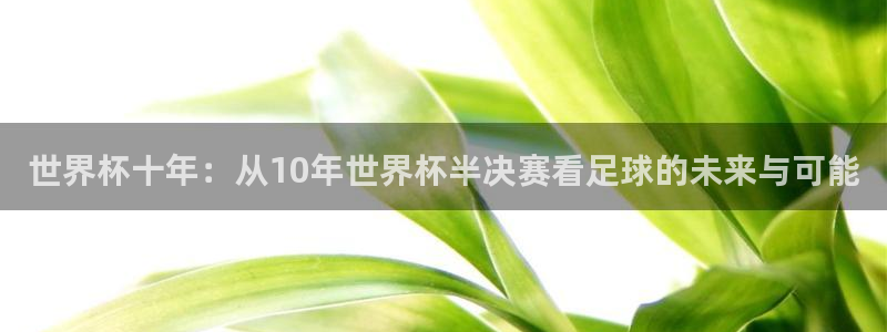 亚洲杯比赛直播：世界杯十年：从10年世界杯半决赛看足球的未来与可能