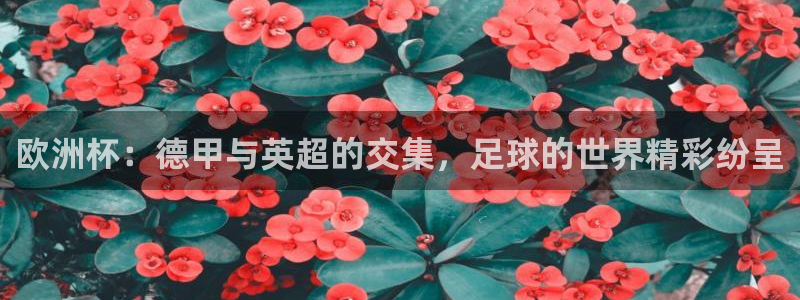 世界杯 2026：欧洲杯：德甲与英超的交集，足球的世界精彩纷呈