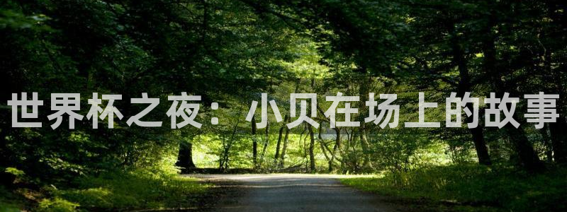 世界杯系列赛：世界杯之夜：小贝在场上的故事