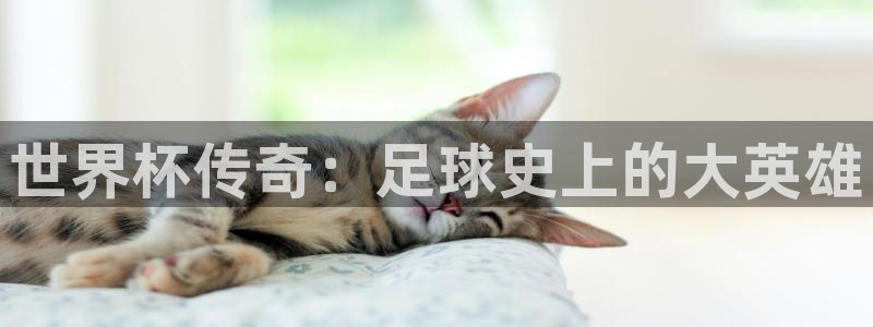世界杯比赛时间：世界杯传奇：足球史上的大英雄