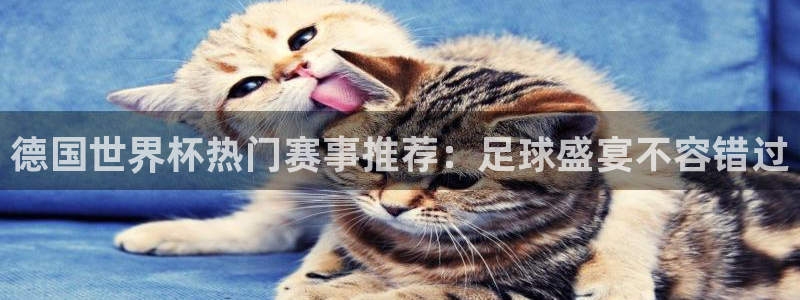 2026年足球世界杯赛程时间表：德国世界杯热门赛事推荐：足球盛宴不容错过