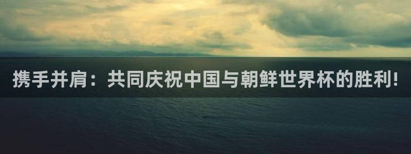 葡萄牙世界杯赛程：携手并肩：共同庆祝中国与朝鲜世界杯的胜利!