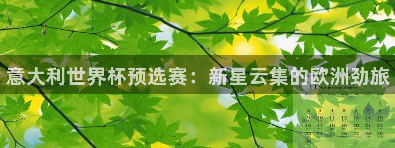 世界杯直播：意大利世界杯预选赛：新星云集的欧洲劲旅