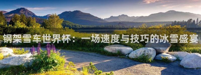 2026葡萄牙杯赛程表：钢架雪车世界杯：一场速度与技巧的冰雪盛宴